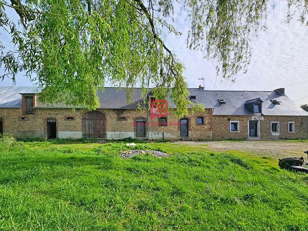 Maison 4 chambres- terrain 8000m²