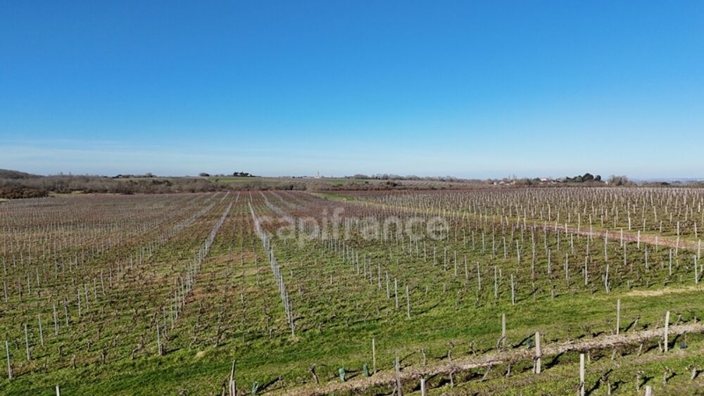   Société d'exploitation viticole – Médoc Cru Bourgeois AOC – Vin médaillé Saint yzans de medoc