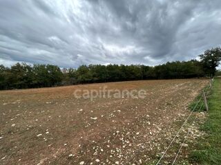 Vente Terrain Terrain à vendre  16300m² SAINT PANTALY D'EXCIDEUIL (24) Saint pantaly d excideuil