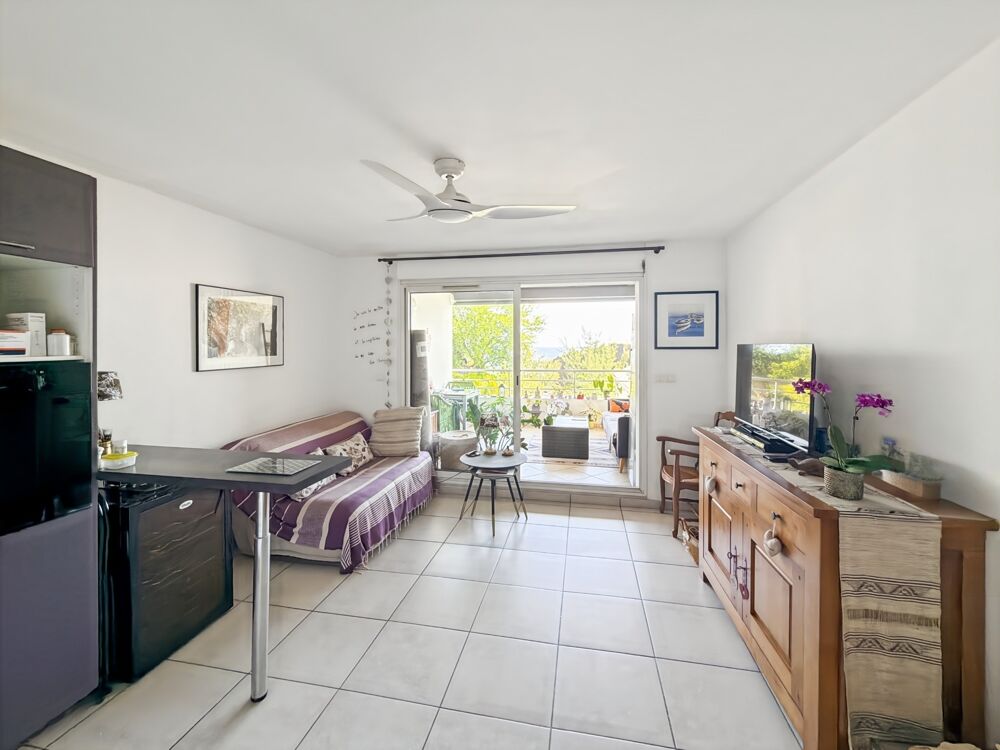 Appartement viager à vendre occupé 2 pièces SAINT GILLES LES BAINS (974)
