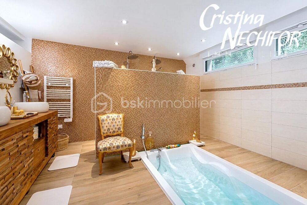 à vendre  Propriété/château Chessy (77700)