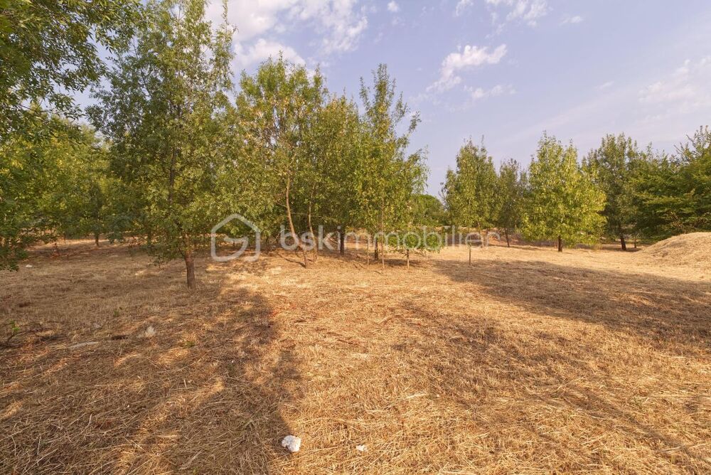 Vente Terrain Terrain constructible de 1438 m² Ners