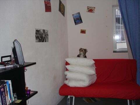  Appartement  louer 1 pice 17 m