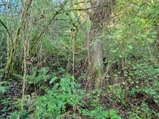  Terrain � vendre 16281 m�