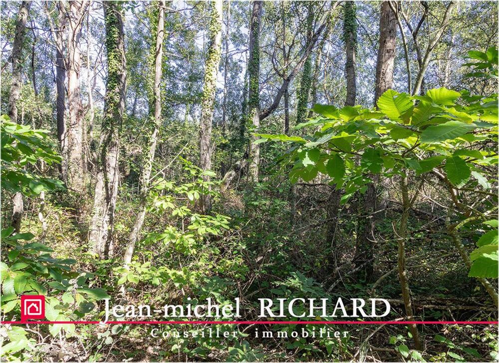 Vente Terrain Appartement Courmemin Courmemin