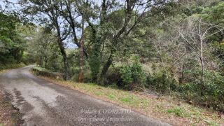  Terrain  vendre 41460 m