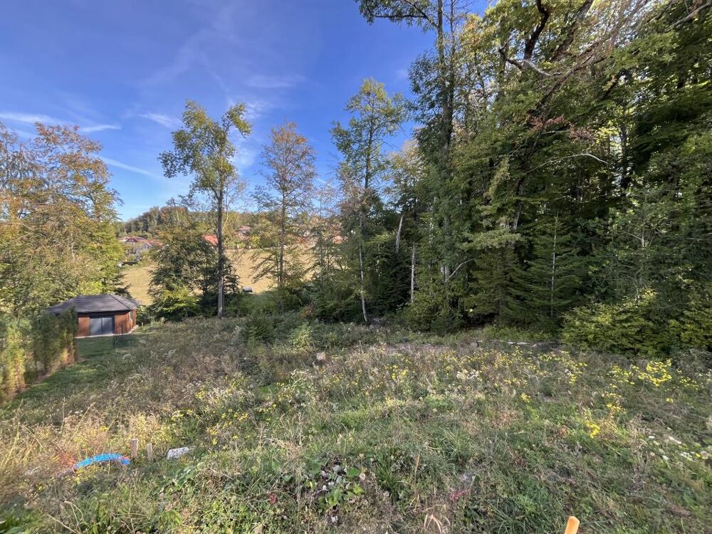 Vente Maison Saint Martin - Maison neuve 108m² Saint martin bellevue