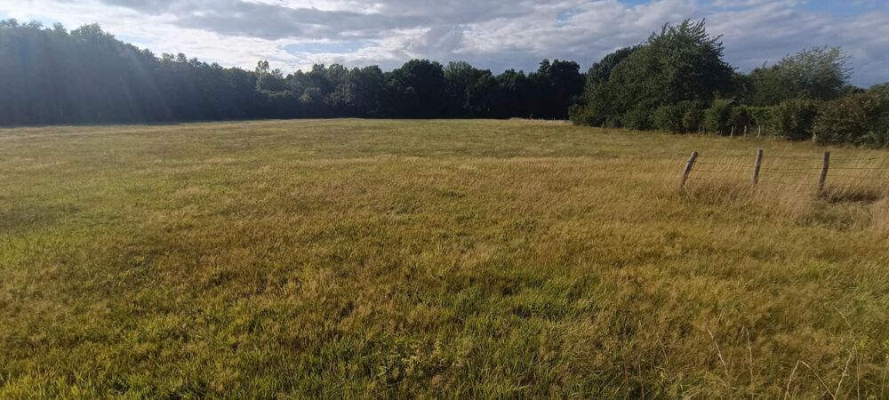 Vente Terrain Terrain constructible.  9159 M2 m2 luxeuil Luxeuil les bains