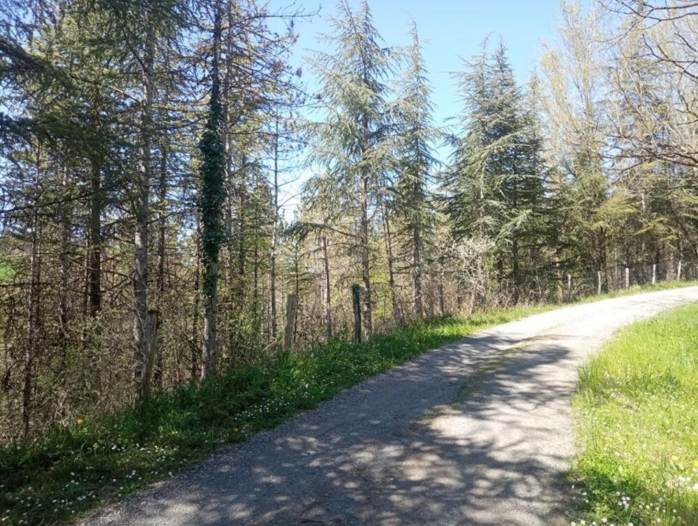 Vente Terrain Lombers : Terrain constructible de 4000 m2 ! Lombers