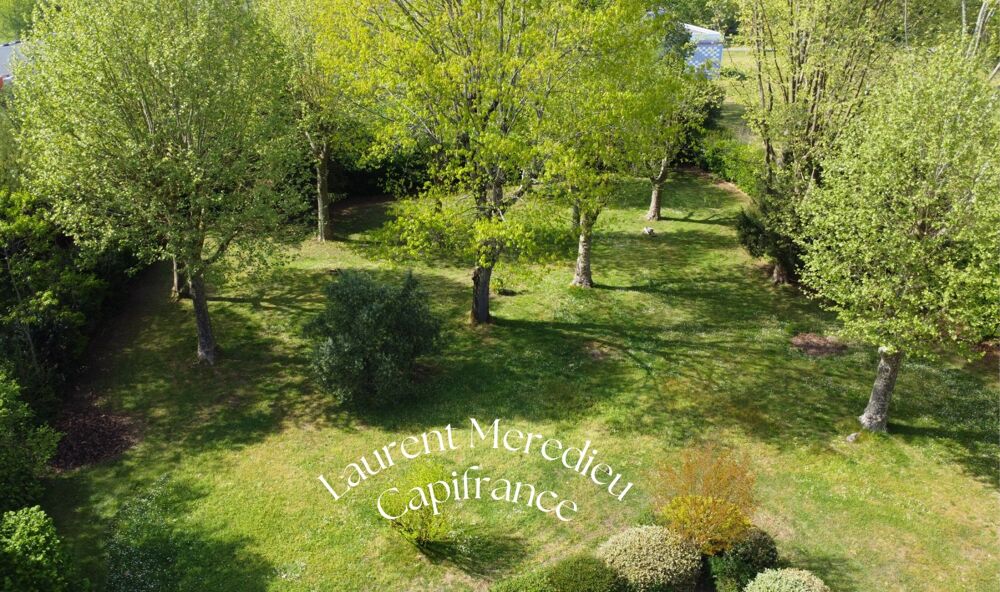 Vente Maison Magnifique demeure en pierre avec grand jardin, piscine & espace professionnel Ambares et lagrave