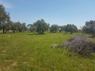 Vente Terrain Terrain Ceyras 2632 m2 + Mazet de 77m² Ceyras