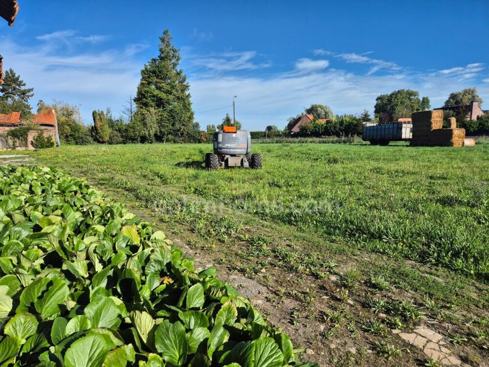 Vente Terrain Terrain à vendre de 1 561,00 m² FRELINGHIEN (59) Frelinghien