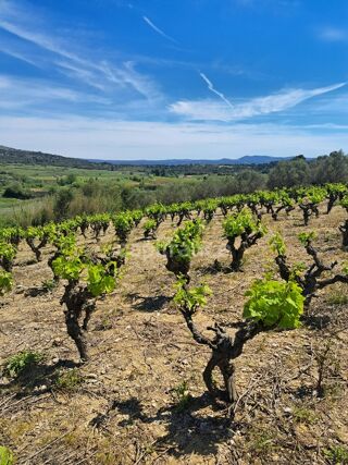  Terrain à vendre 2262 m²