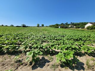  Terrain  vendre 3688 m