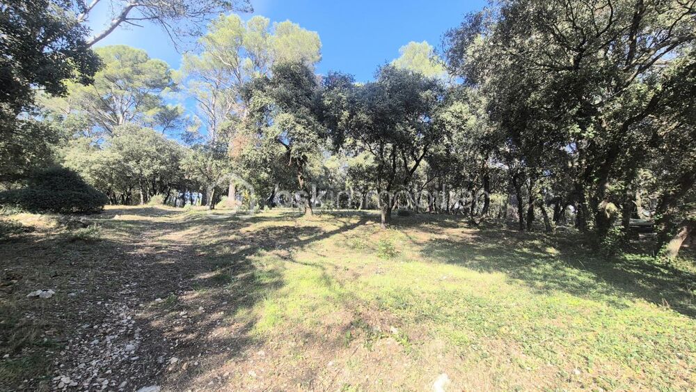 � vendre  Propri�t�/ch�teau Signes (83870)