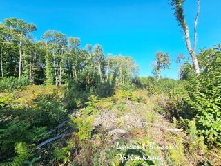  Terrain à vendre 10139 m²