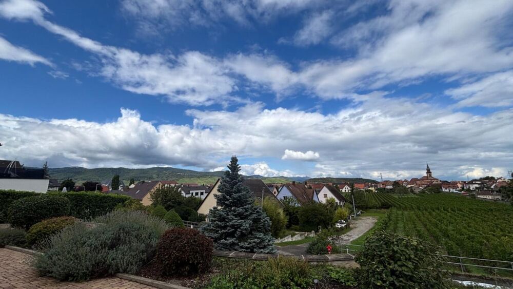 Maison Wintzenheim 10 pièce(s) 299.77 m2