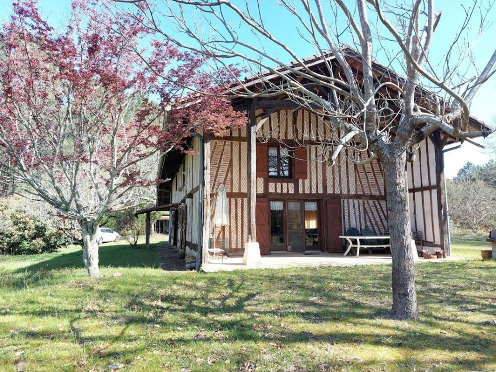Maison Landaise entre pins et Océan