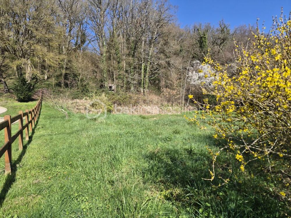 Vente Terrain Terrain constructible et viabilisé avec maison sur plan – 2 638 m² – Côteaux-sur-Loire Coteaux sur loire