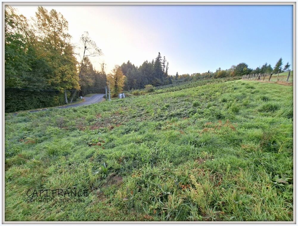 Vente Terrain Terrain à vendre  CELLES SUR DUROLLE (63) Celles sur durolle