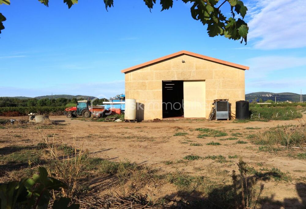 Vente Terrain Domaine viticole BIO de 9 hectares au cœur de l'Hérault Ceyras