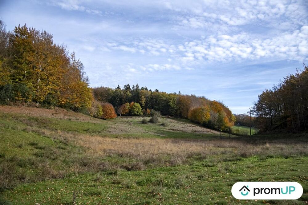 Vente Terrain Terrain agricole 3,05 ha avec sources Rouairoux