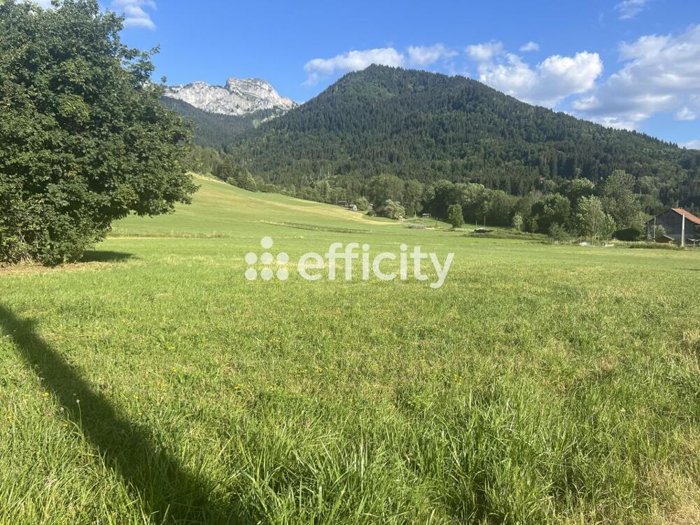 Vente Terrain Terrain agricole Megevette