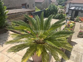  Propri�t�/ch�teau � vendre 7 pi�ces 180 m�
