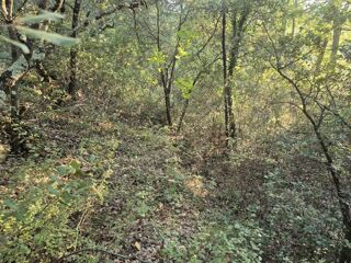  Terrain � vendre 15720 m�