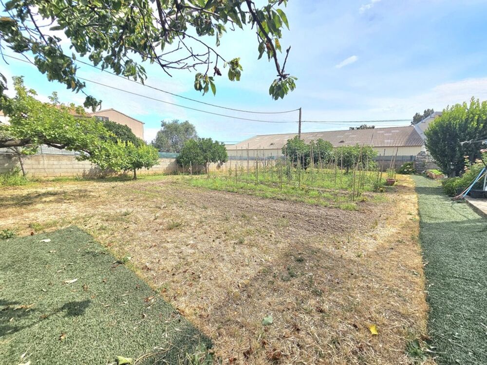 à vendre  Maison Monte (20290)