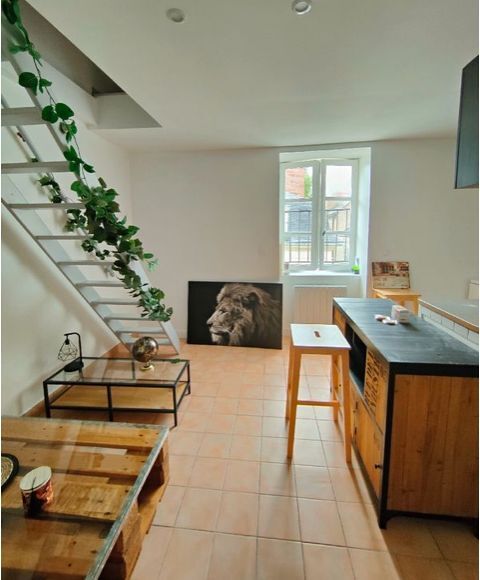  Duplex/triplex � louer 2 pi�ces 31 m� Nantes