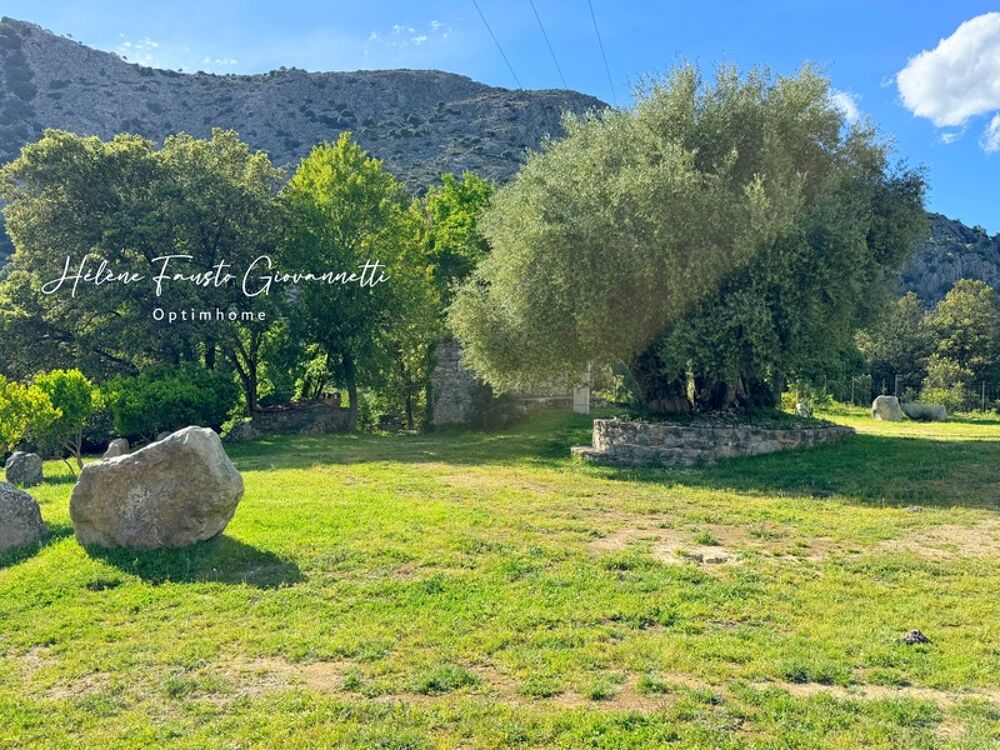 à vendre  Propriété/château Omessa (20236)