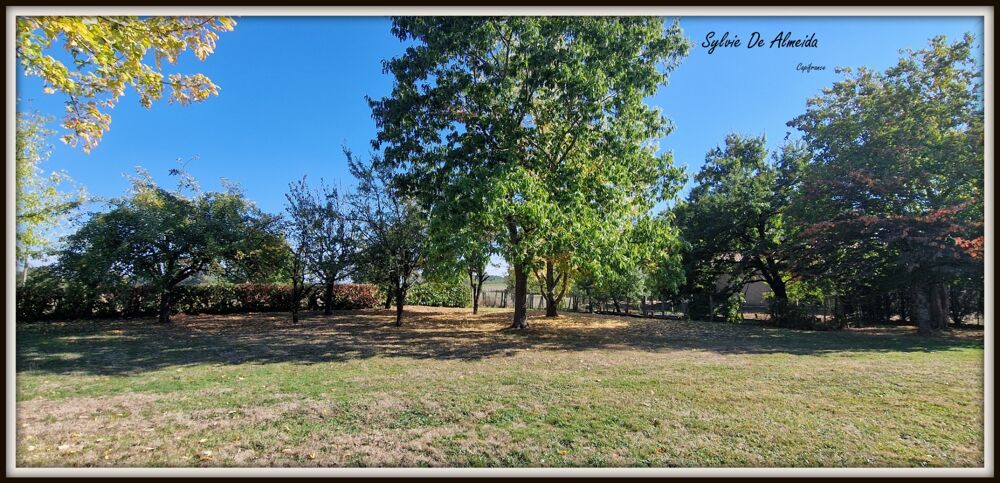 Vente Maison Propriete LONGERE 165 m² à vendre 6 pièces BAGE DOMMARTIN (01) Terrain 4000 m², Dépendances, Potentiel, Cachet Bage dommartin