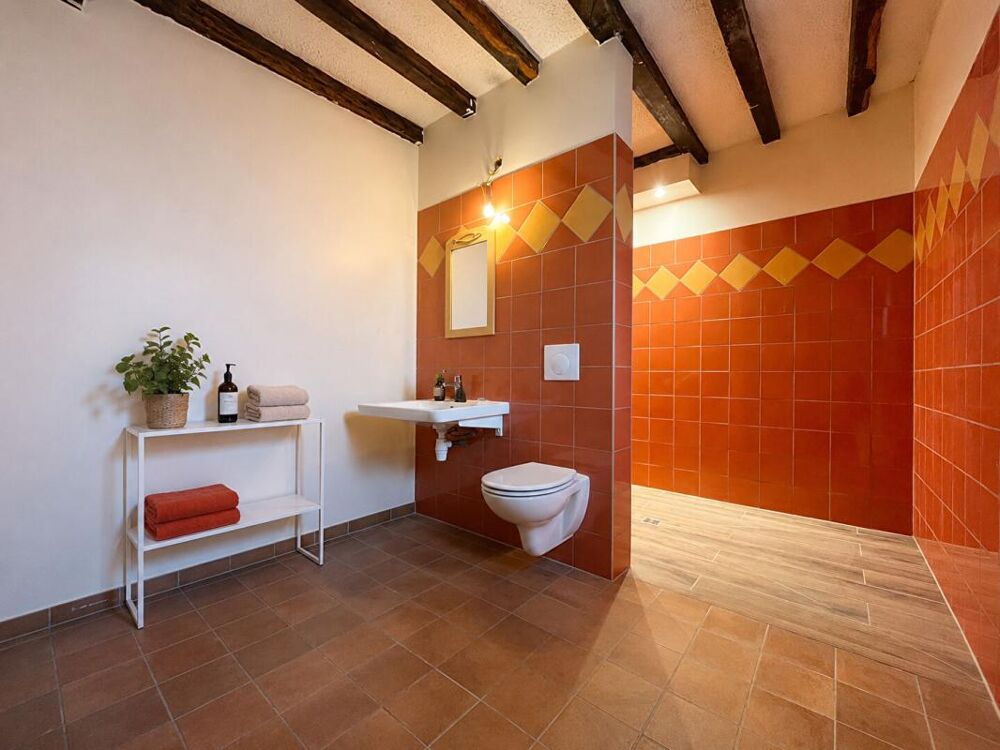 Maison à 5 min de Levroux 9 pièce(s) 290 m2
