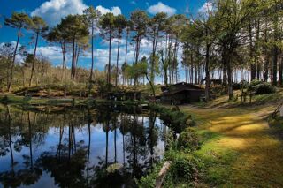  Propri�t�/ch�teau � vendre 2 pi�ces 17317 m� Villandraut