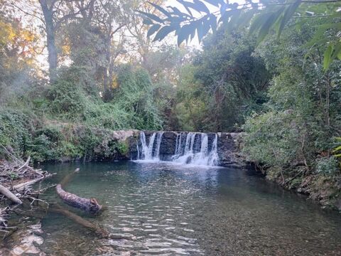  Appartement � louer 1 pi�ce 16 m�