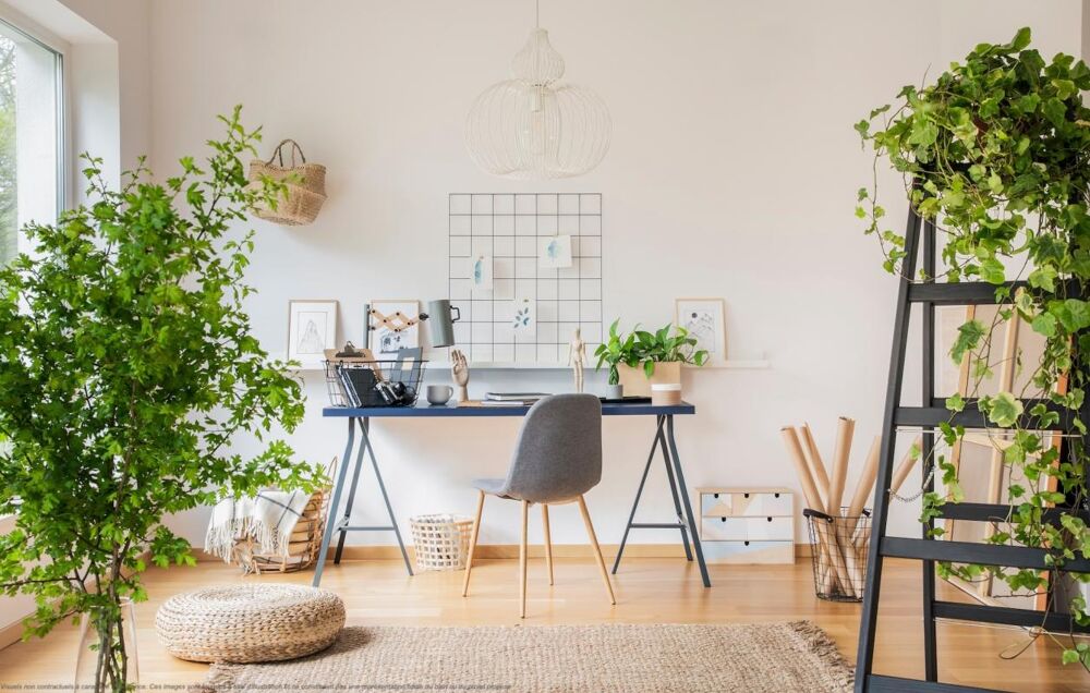 Vente Appartement Grand 5 pièces - 100 m² habitables + Exterieur + 2 Parking Bordeaux