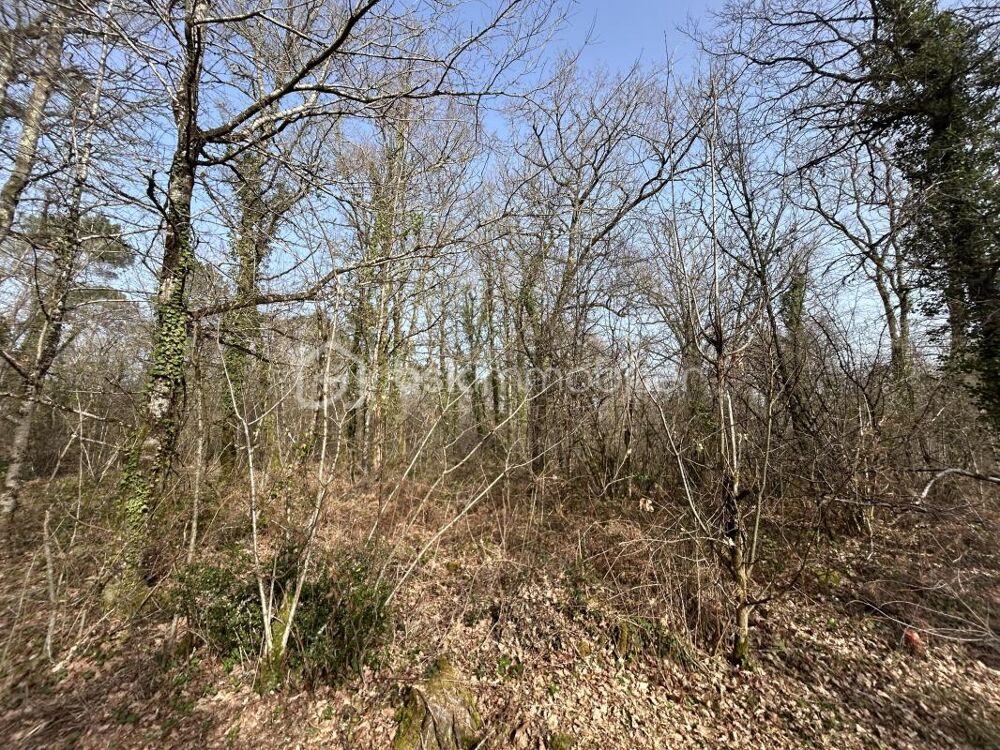 Vente Terrain Ensemble de parcelle  boisé non constructible – La Clotte La clotte