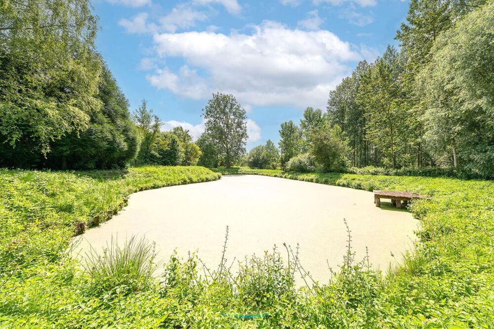 Vente Terrain RARE SUR LE SECTEUR – Étang privé de 1 250 m2 avec chalet sur plus de 3 300 m2 de terrain clos et arboré, aux portes de Saint-Am Millonfosse