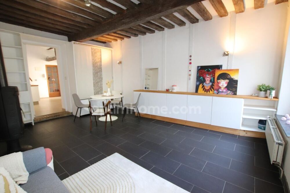 ORLEANS SUD ST MARCEAU TRAM TOURELLES DAUPHINE, Vaste appartement de charme en excellent état