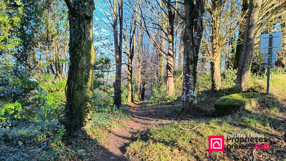 Vente Terrain Exclusivité ! Finistère 29180 Locronan. Terrain constructible en partie viabilisé. Libre de constructeur.  Vue Mer Locronan
