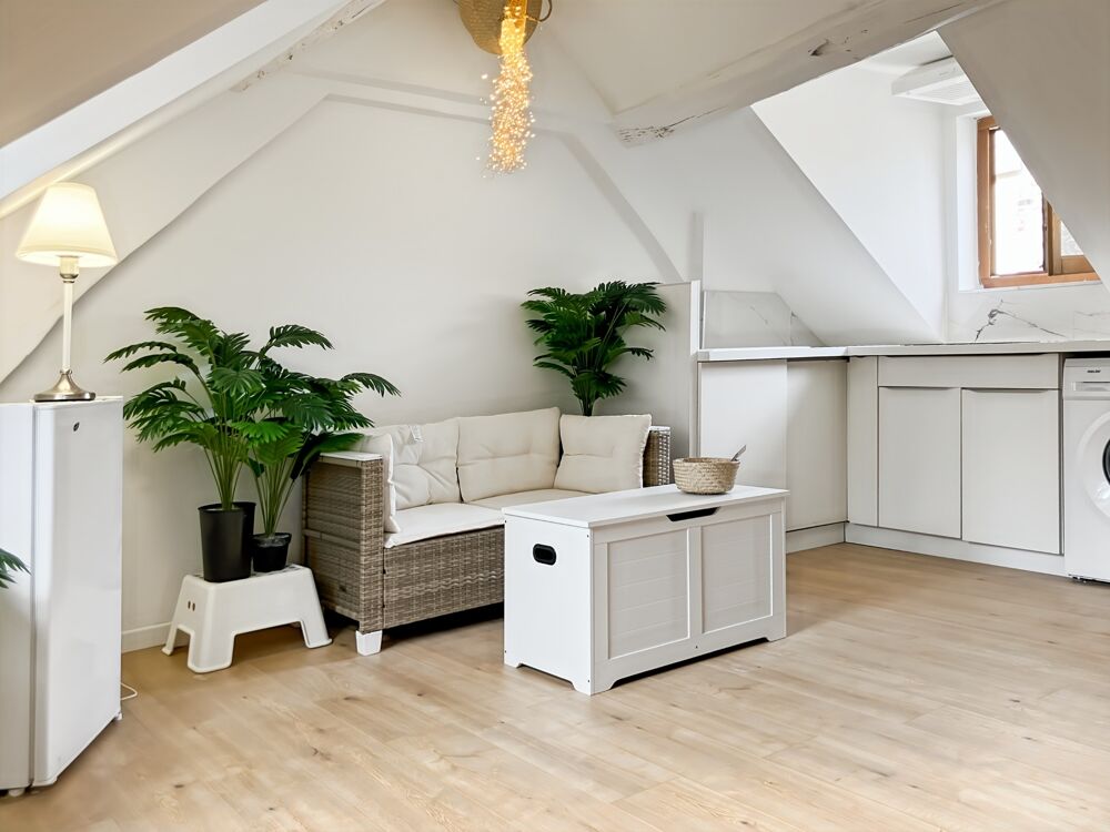 Vente Immeuble Rouen Hyper Centre Immeubles 10 F1 - 2 locaux commerciaux Rouen