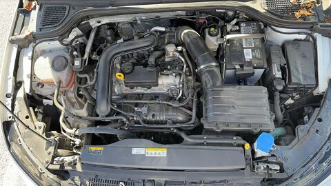 Golf VIII 1.0 TSI 110 Active 2023 occasion 83170 Brignoles
