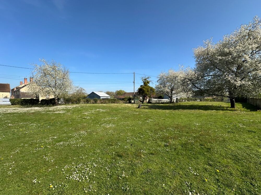 Vente Maison GRISELLE - Corps de ferme entier 9 bâtiments - Terrain de 4 212 m2 Griselles