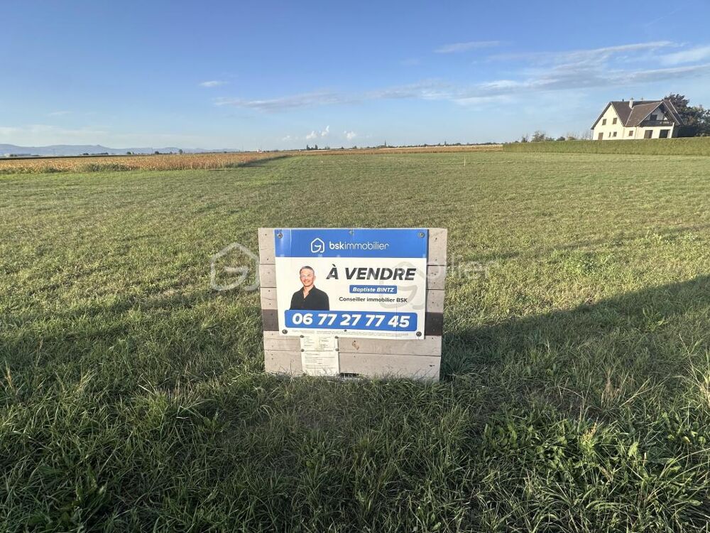 Vente Terrain Terrain constructible de 8 ares – Vue dégagée sur les Vosges - Oberhergheim Oberhergheim