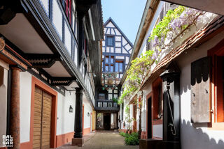  Maison � vendre 15 + pi�ces 480 m�