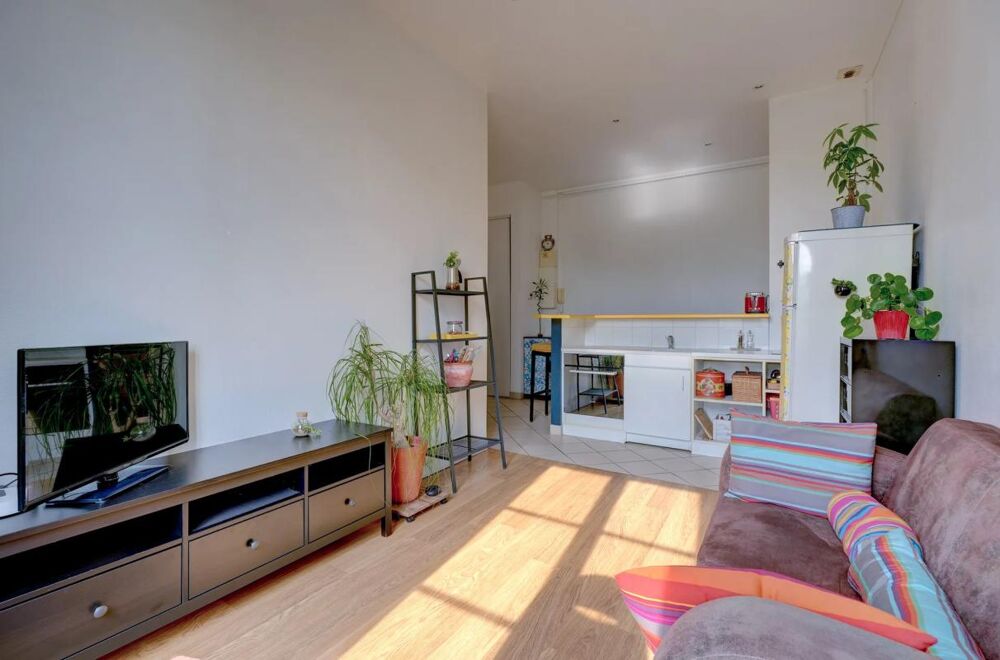 Vente Appartement Caluire-et-Cuire T3 loué avec vue sur Rhône Caluire et cuire