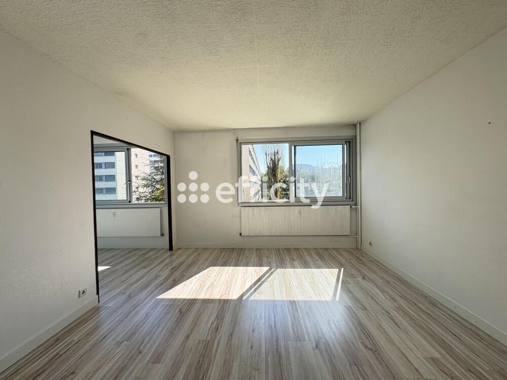 Vente Appartement Appartement ancien Seyssinet pariset