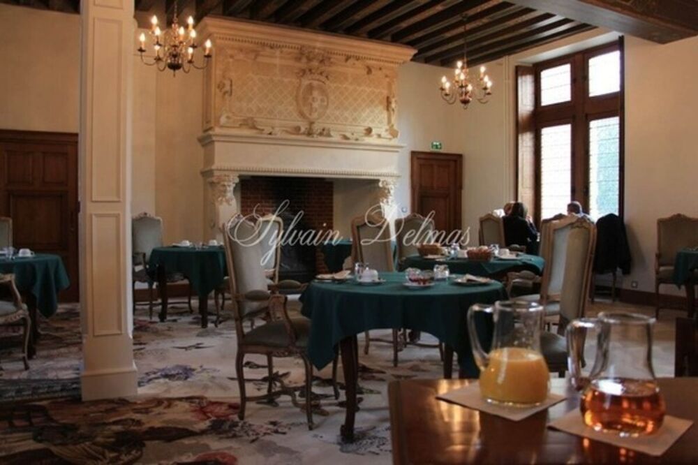 � vendre  Propri�t�/ch�teau Amboise (37400)