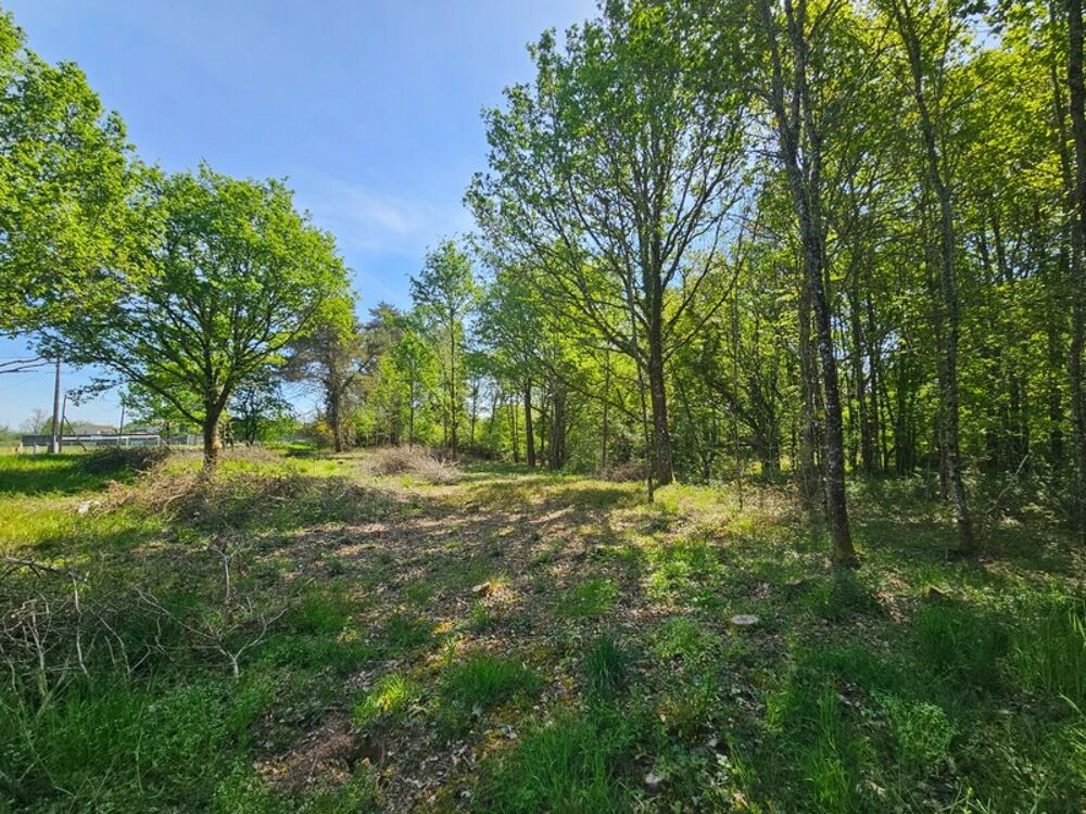 Vente Terrain Terrain 2507 m² Limeyrat